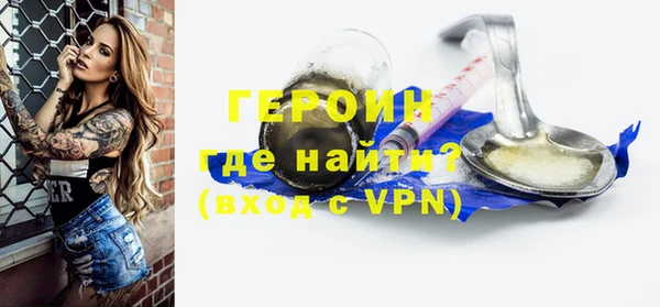 индика Богданович