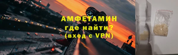 индика Богданович
