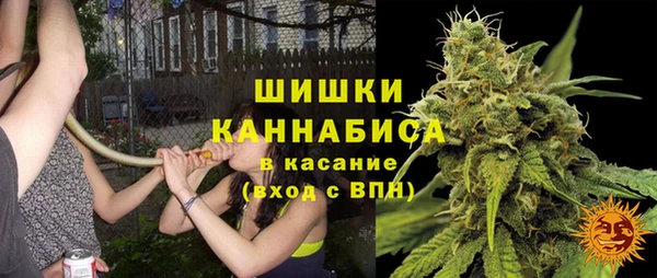 метадон Белокуриха