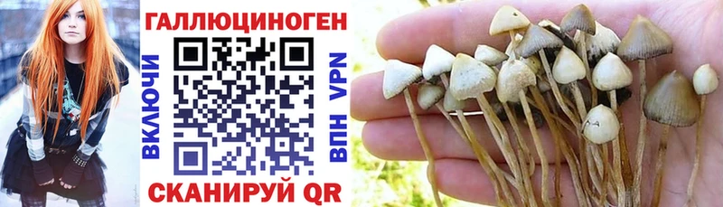 Галлюциногенные грибы мицелий  Чудово 